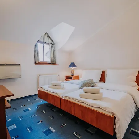 达莉亚生态友好酒店 4* 科希策