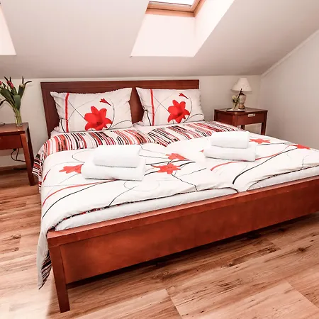 Eco Friendly Dalia ホテル