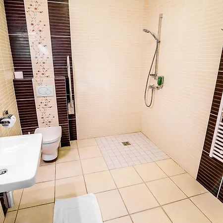 达莉亚生态友好酒店 酒店 科希策