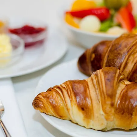 达莉亚生态友好酒店 酒店 科希策