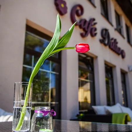 达莉亚生态友好酒店 酒店