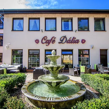Eco Friendly Dalia 호텔 4*