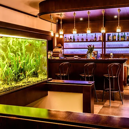 达莉亚生态友好酒店 4* 科希策