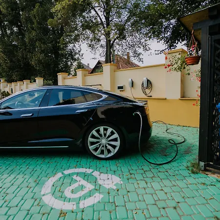 Eco Friendly Dalia 4* كَشّا