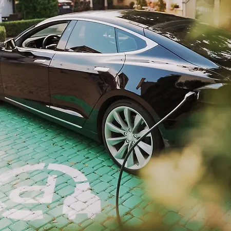 达莉亚生态友好酒店 酒店 4*