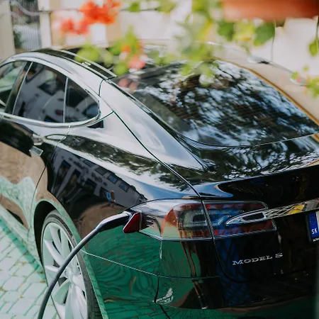 Eco Friendly Dalia فندق 4*