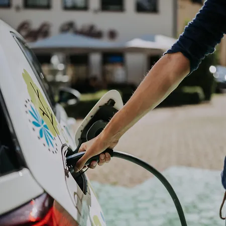 达莉亚生态友好酒店 酒店 4*