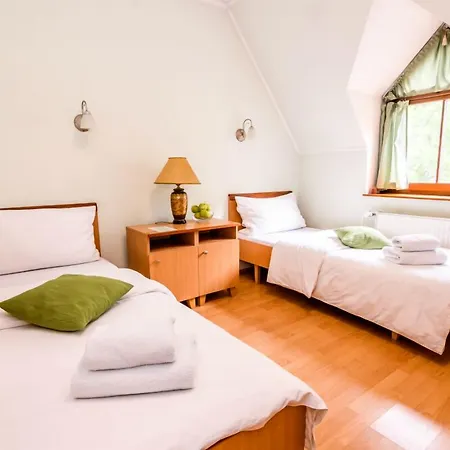 ホテル Eco Friendly Dalia