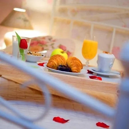 Eco Friendly Dalia كَشّا