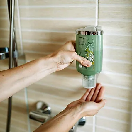 Eco Friendly Dalia 4* Kassa
