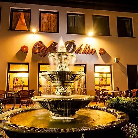 Eco Friendly Dalia Kassa