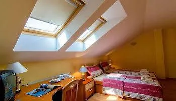 达莉亚生态友好酒店 科希策