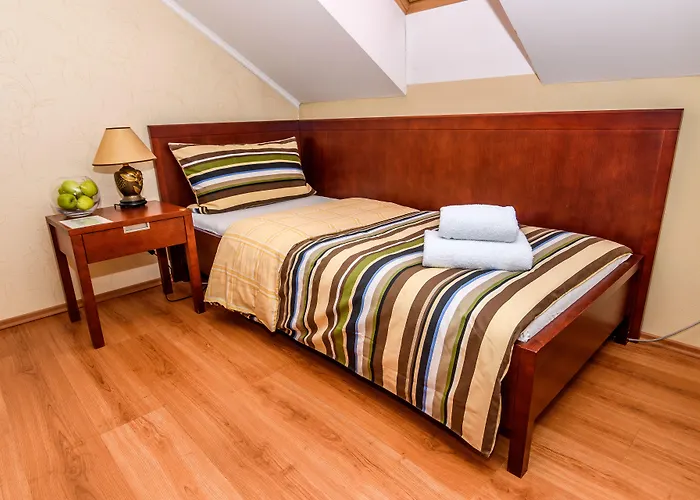 Eco Friendly Dalia Kösice