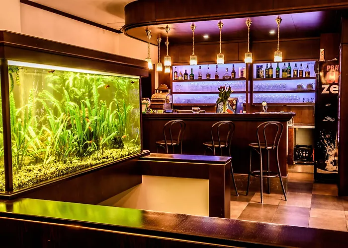 Eco Friendly Dalia 4* Kösice